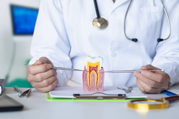 Best Emergency Tooth Extraction in Mcnary, AZ
